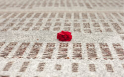 genocide, war, China,