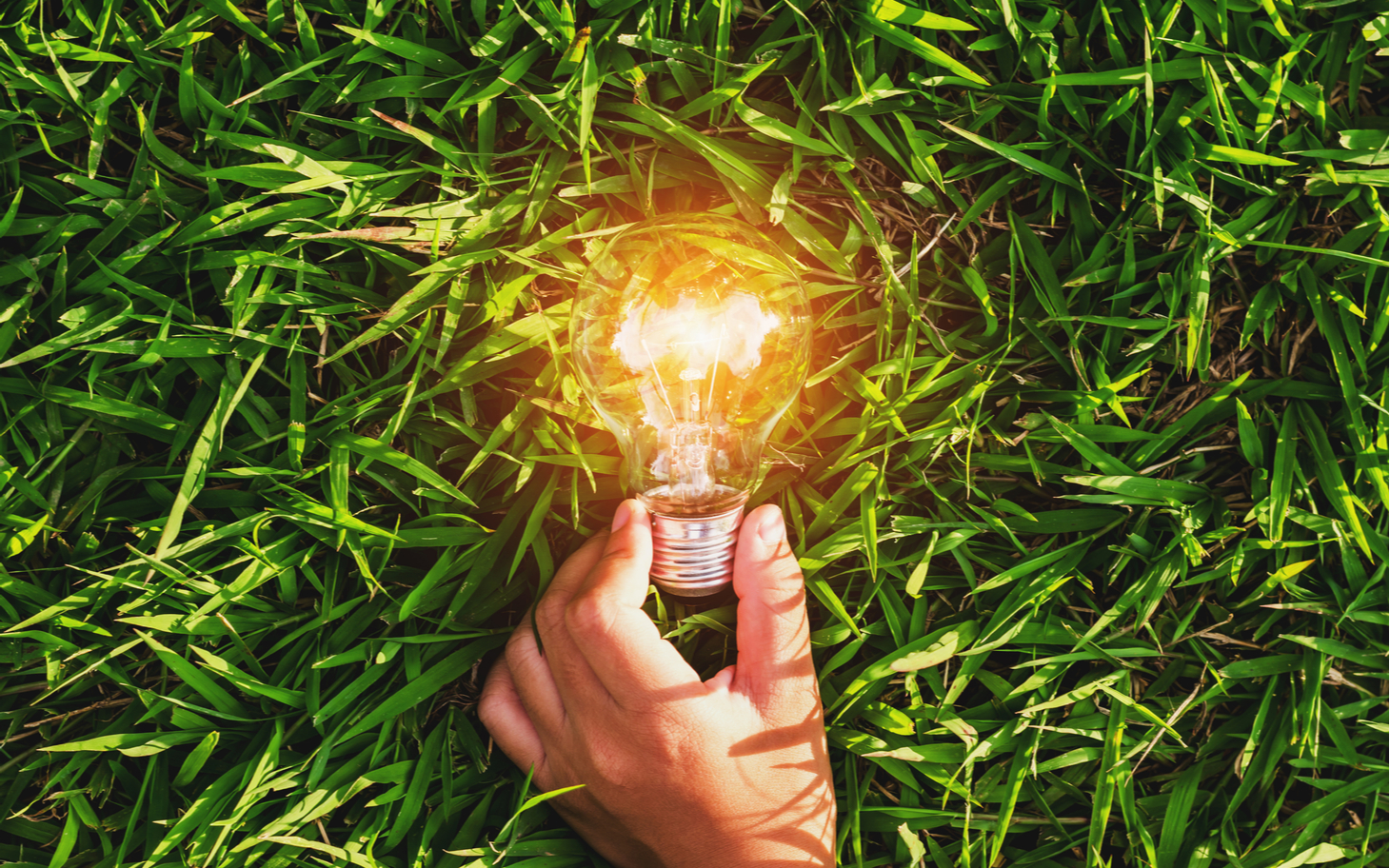 How to turn your portfolio green