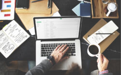 stock market, demographic, response