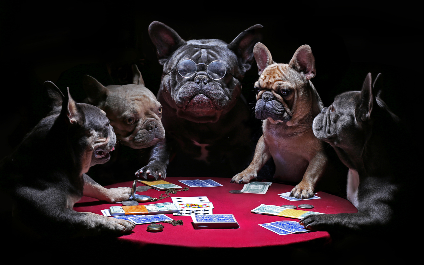 When dog money is better than fiat money