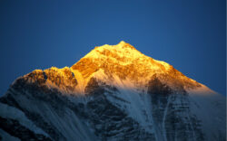 gold, gold summit, Fortune & Freedom