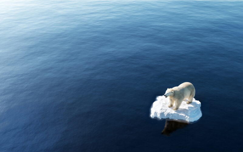 climate change, environment
