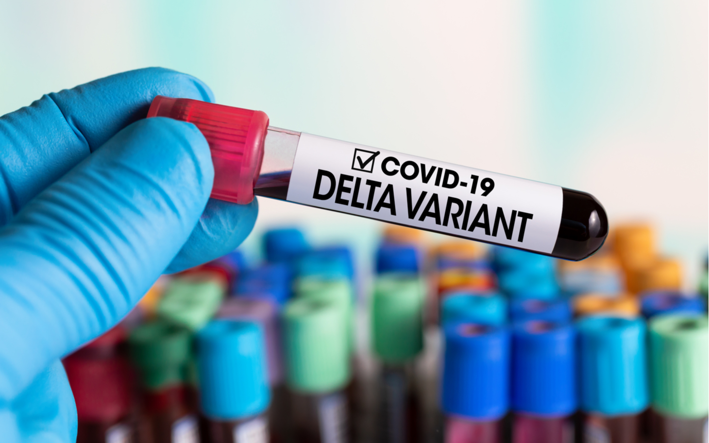 At what point does the Delta variant trigger a financial crisis?
