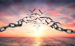 freedom, covid 19, pandemic