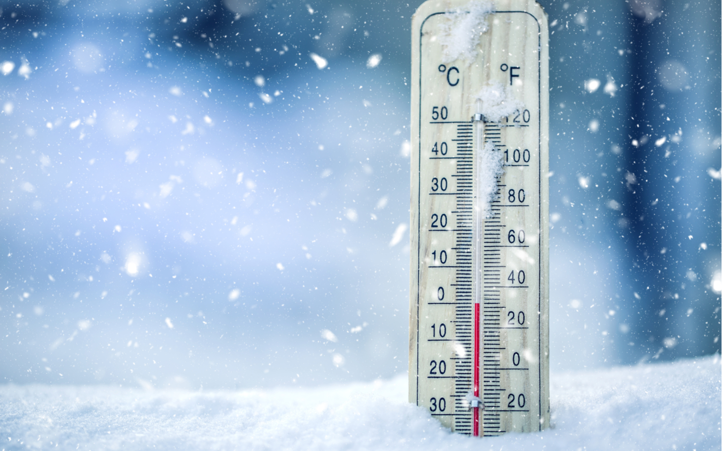 Winter of our Discontent