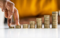 investor, fund, economy.