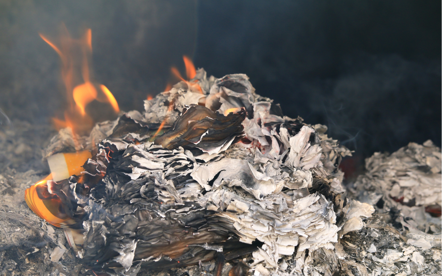 Burn the banknotes to keep warm
