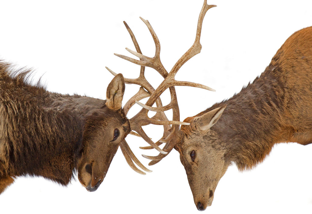 3 ways investors can beat stagflation