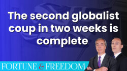 globalist-coup